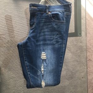 Torrid Jeans